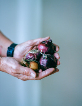 from where I’m standing