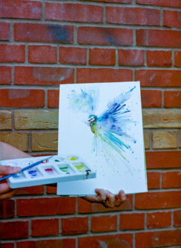 from where I’m standing