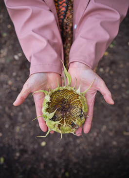 from where I’m standing