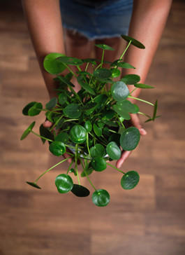 from where I’m standing